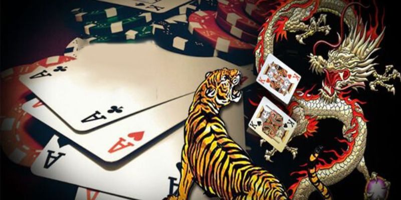 Những điều cần biết trong cách rồng hổ tại F8bet