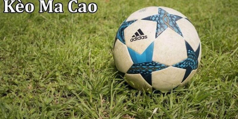 Khám phá ưu điểm, nhược điểm và cách đọc kèo tại F8bet