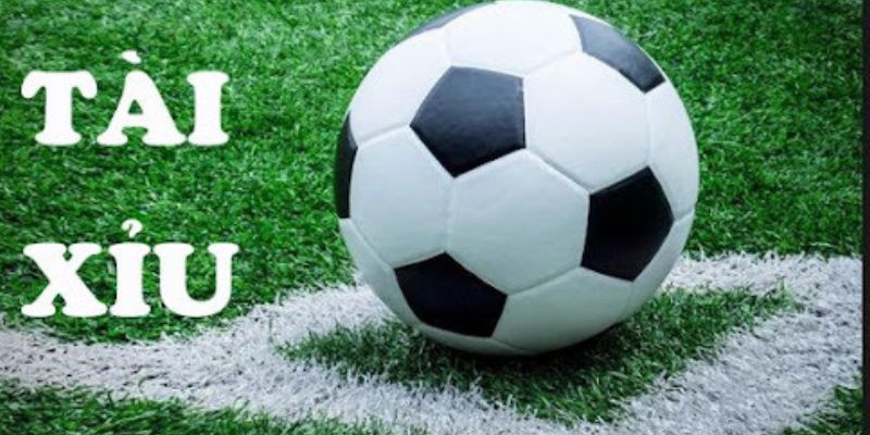 Tìm hiểu về kèo tài xỉu châu Âu