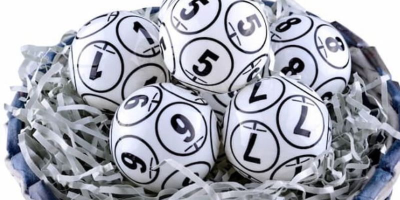 Tìm hiểu các loại hình cược lô đề phổ biến