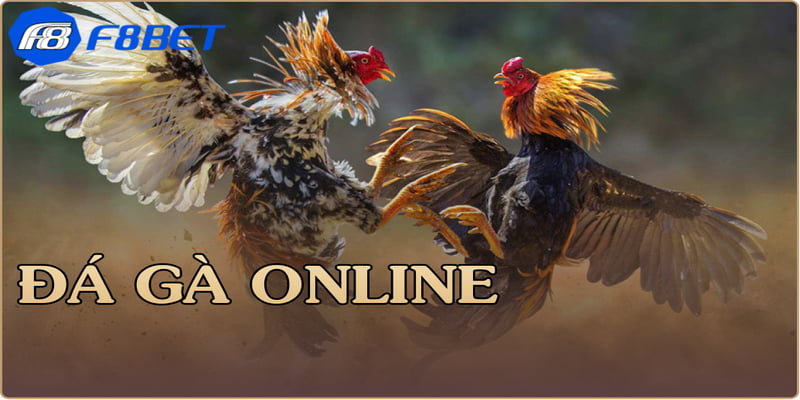 Khái niệm tỷ lệ cược đá gà trực tuyến