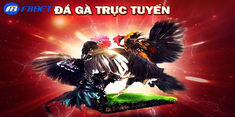 tỷ lệ cược đá gà trực tuyến