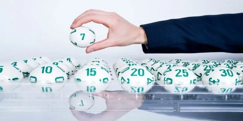 tim-hieu-dan-de-56-con